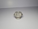 Lizzard Front Axle Bolt Silver